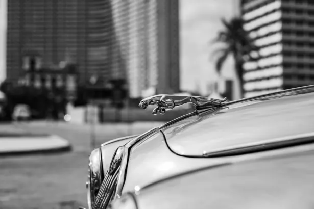 בטרגאל קזינו אפליקציית Android/iOS